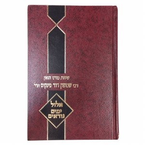 Sichos Rabbi Shimshon Pincus on Elul and Yamim Noraim [Hardcover]