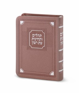 Tehillim Eis Ratzon and Techinos Softcover Faux Leather Corner Design Silvery Ashkenaz