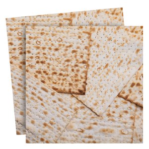 Passover Napkins Matzah Design 20 Pack