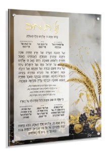 Floating Lucite Al Hamichya Hebrew Wall Hanging Wheat Design 16" x 20"