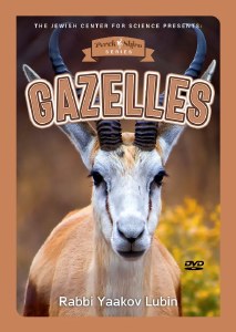 Perek Shira Series Gazelles DVD