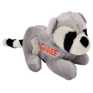 Plush Toy Ganef the Racoon