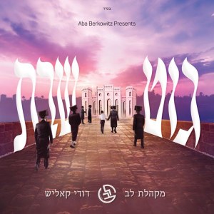 Git Shabbos Dudi Kalish and Lev Choir CD