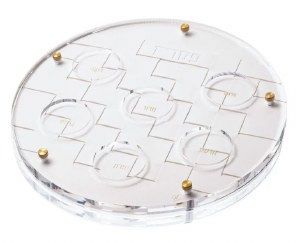 Lucite Seder Plate Kaarah Woven Design Gold 13.75"