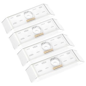 Lucite Raised Simanim Tray Classic 2.0 Design Hebrew Gold 4 Pack 11" x 4"