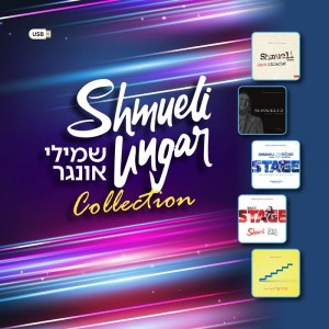 Shmueli Ungar Collection USB