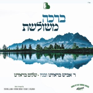 Bracha Meshuleshes CD