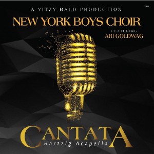 Cantata Hartzig Acapella CD