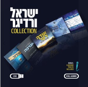 Yisroel Werdyger Collection USB