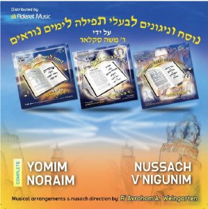 Yomim Noraim Nussach V'Nigunim USB