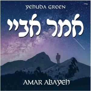 Amar Abayeh USB