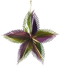 Shivas Haminim Hanging Decora
