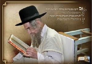 Harav Shteinman Laminated Sukkah Poster 19" x 26"