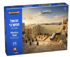 Kosel Western Wall Brick Building Lego 315 Piece Set