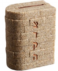 Resin Tzedakah Box Kosel Design Beige 5"