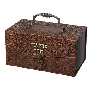 Faux Leather Esrog Box Intricate Design Metal Handle and Lock Brown