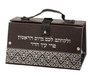 Faux Leather Esrog Box Carrying Case Elegant Silver Print Design Brown 7.5" x 5"