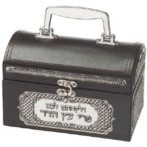 Faux Leather Esrog Box with Handle and Clasp Metal Plate Accent Brown