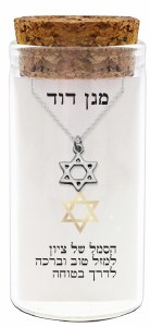 Silver Magen David Pendant Necklace