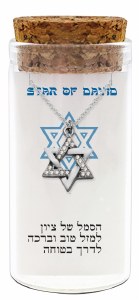 Silver Magen David Pendant Necklace Crushed Stone Accent