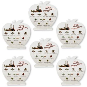 Lucite Rosh Hashanah Simanim Card Apple Shape Design 8&quot; Family 6 Pack