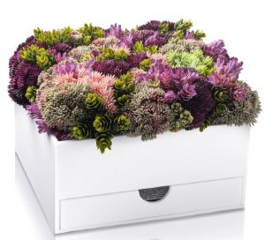 Lucite Bencher Holder Faux Purple Flowers Vase Box Includes Set Of 6 Lucite Birchas Hamazon Cards White Ashkenaz