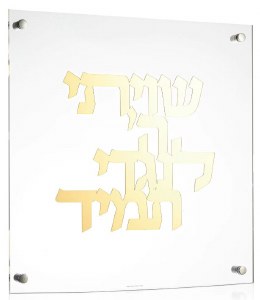 Floating Lucite Shivisi Hashem Hebrew Wall Hanging Classic Design Gold 16"