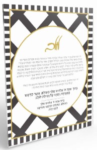 Lucite Square Lulav Sukkah Decoration Onyx Design 20" x 16"