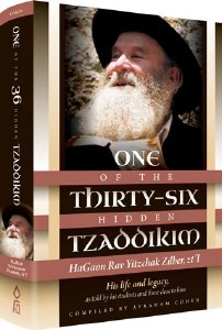 One of The Thirty Six Hidden Tzaddikim [Hardcover]