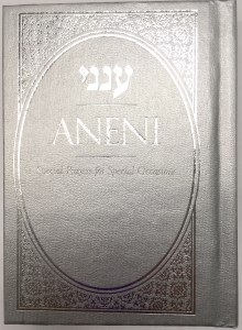 Aneini Simcha Edition Pocket Size Silver [Hardcover]
