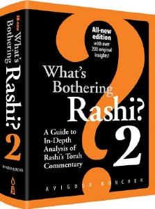 What's Bothering Rashi 2 New Edition [Hardcover]