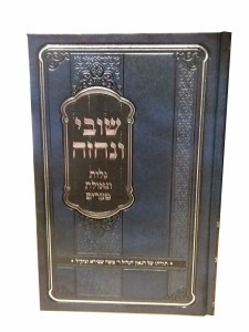Shuvi Venechezeh Galus Geulah and Mitzrayim [Hardcover]