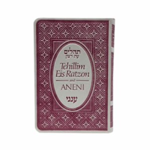 Tehillim Eis Ratzon and Aneni Hebrew and English Raspberry [Paperback]