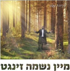 Mein Neshama Zingt USB