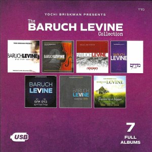 The Baruch Levine Collection USB