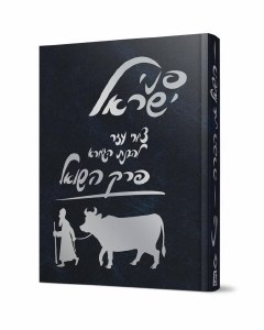 Penei Yisroel Perek Hashoel Hebrew [Hardcover]