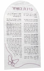 Lucite Birchas Hashachar Magnet Display Card Hebrew Menukad Edut Mizrach Butterfly Design Pearl