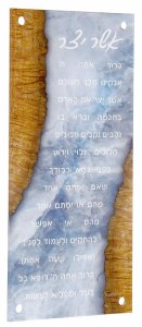 Lucite Asher Yatzar Wall Hanging Plaque Hebrew Menukad Painted Brown Accent Design 6" x 13"