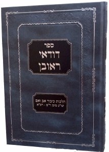 Dudaei Reuven Hebrew [Hardcover]