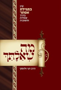 Ma SheAilasaich Esther Hebrew [Hardcover]