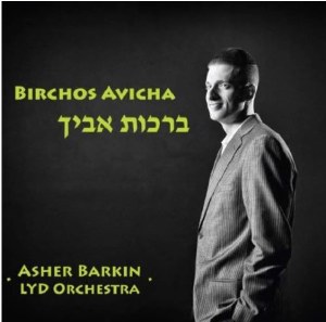 Birchos Avicha CD
