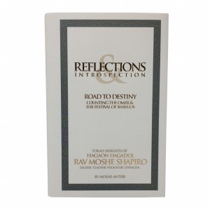 Road to Destiny - Counting the Omer and the Festival of Shavuos [Hardcover]