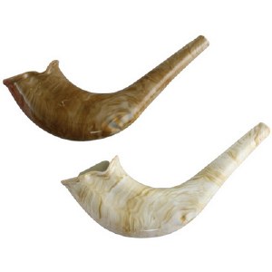 Real Looking Plastic Shofar - Assorted Colors - Single Piece