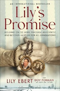 Lily's Promise [Paperback]