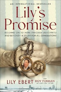 Lily's Promise [Paperback]