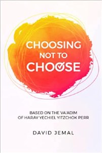 Choosing Not To Choose [Hardcover]
