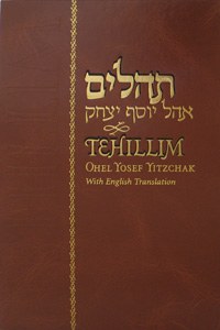 Tehillim Ohel Yosef Yitzchok [Hardcover]