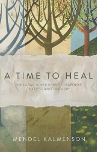 A Time to Heal [Paperback]