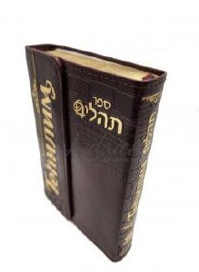 Faux Leather Tehillim Hebrew Russian Translation Compact Edition Magnet Closure Brown