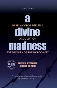 A Divine Madness [Hardcover]